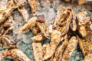 Seafood on ice, Seafood buffet line