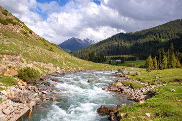 Mountain river between hills covered with coniferous forest against a cloudy sky. Kyrgyzstan