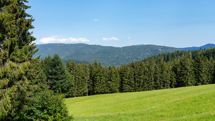 Schwarzwald Landschaft