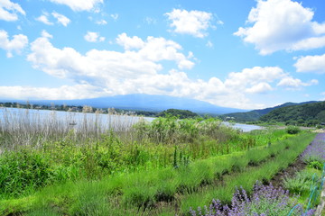 富士山