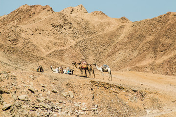 Rocky mountain scenery, Dolomites, Italy