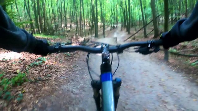 MTB bicycle riding on the trail in the summer season.