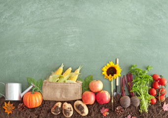 Autumn seasonal organic fruits and vegetables