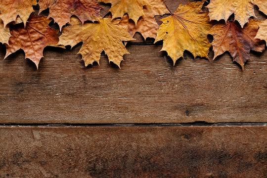 Autumn leaves on wooden background with copy space. Wallpaper for September 1.