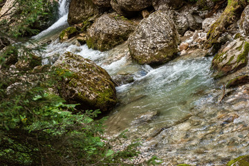 Naklejka na ściany i meble Fast river near forest in Bucegi mountains, Romania