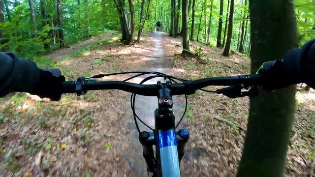 MTB bicycle riding on the trail in the summer season.