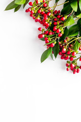 green herbs and red berries for summer design on white background top view mock up