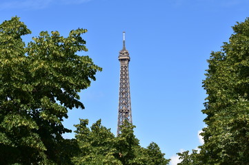 Tour Eiffel with trees from Champ de Mars on a sunny day. Paris, France.