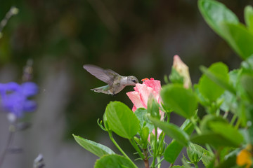 Still Open for Business