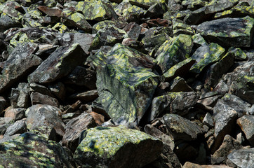 Huge mountain stones fell from the top of the mountain and were overgrown with lichens