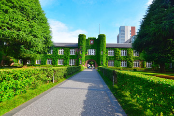 大学