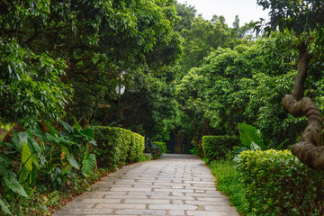 Stone walkway in a city park