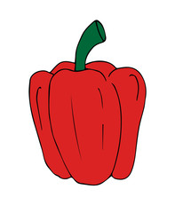 Vector red hand drawn sketch bell pepper isolated on white background