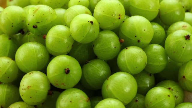 panning fresh Indian gooseberry  top view