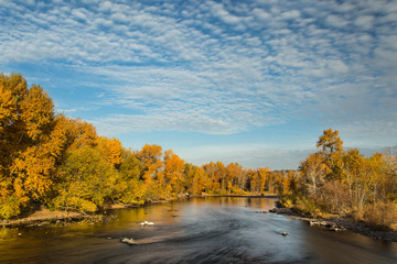 A view of the Boise river lined with colorful autumn trees