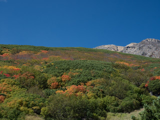 紅葉の山