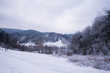 Fototapeta na wymiar Beautiful snowscape in the valley