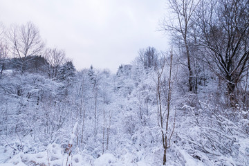 Beautiful snowscape in the valley