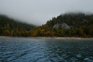 Autumn forest in the fog near the shores of lake Altai. Altai autumn