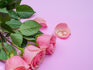 Wedding concept. Beautiful pink rose on pink background with two wedding rings.