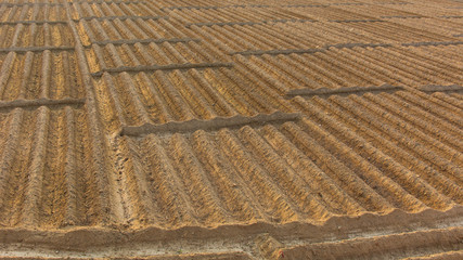 Pattern of empty crops Soil Pattern background 