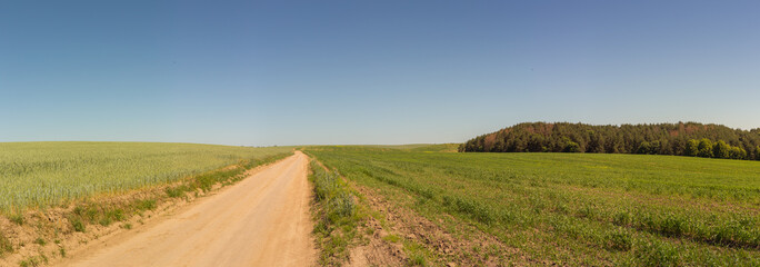 Rural Road panorama with plae for copy. Dirt road with agricultural fields and a forest.