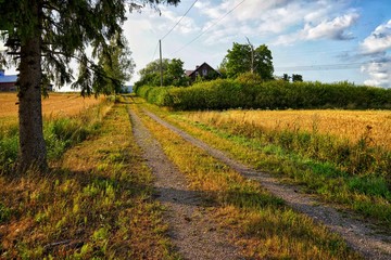 Abandoned rural farm