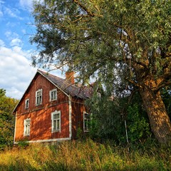 Abandoned rural farm