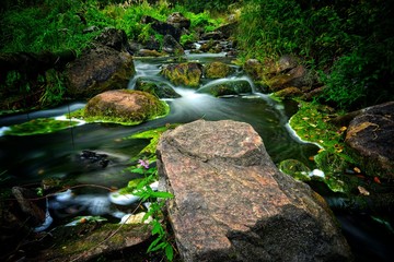 Small rocky river in the middle of forest