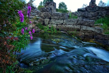 Flowers over streaming water