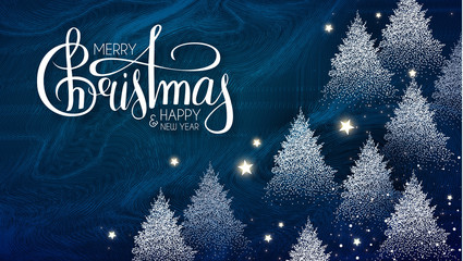 Merry Christmas and Happy new Year Holiday backgdound with winter forest, snow, stars and frost texture. Christmas fir tree. © feaspb