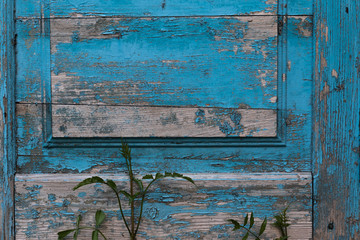 Old wooden door with shabby blue paint
