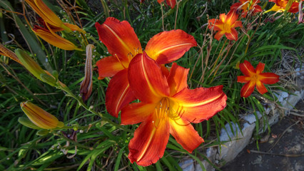 Gibraltar is a beautiful place on the south of Europe