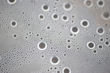 Moisture macro from under the plastic material.