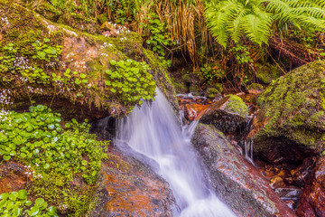 Belaustegui forest waterfall, in Alava, Basque Country