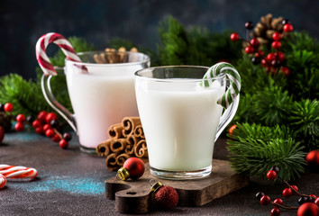 Obraz na płótnie Canvas Hot winter white drink with candy sticks, Christmas or New Year decorations, dark background, rustic style, copy space