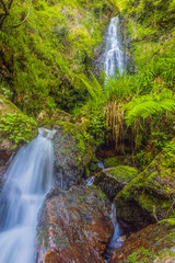 Belaustegui forest waterfall, in Alava, Basque Country