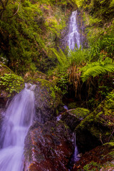 Belaustegui forest waterfall, in Alava, Basque Country