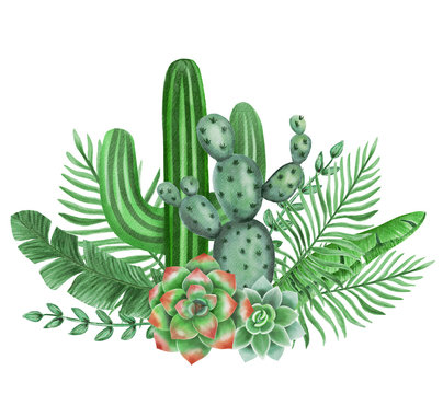 Watercolor hand painted beautiful succulent and cactus composition: aloe, aeonium and cactus. Trendy succulent design for cards, holidays, weddings, fashion