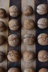 walnuts lie in straight rows on a striped background