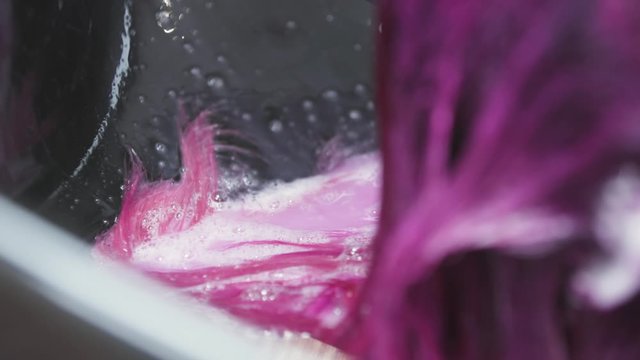 Pink being washed in basin