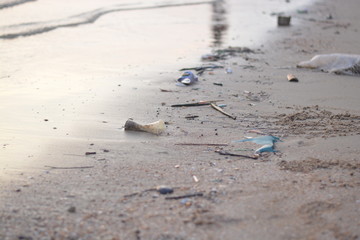 Pollutions and garbages on the beach.