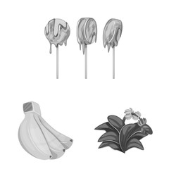 Isolated object of fresh and diet symbol. Set of fresh and vegetarian stock vector illustration.