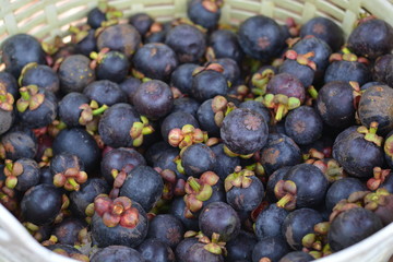 Many mangosteen are in the trunk.