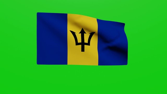 Bandera Barbados. Vídeo	
