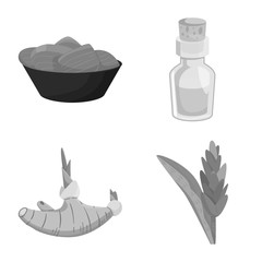 Vector design of spice and ingredient icon. Set of spice and product vector icon for stock.