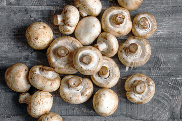 mushrooms champignon on dark wood desk