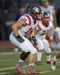 Young Athletic Teen Boy Playing in an American Football Game