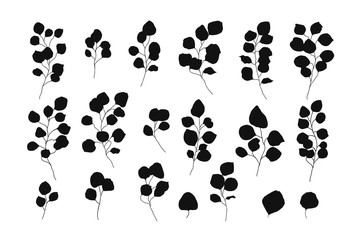 Silver dollar eucalyptus silhouette leaves floral branches vector illustration in simple style. Hand drawn foliage plant rustic botanical for wedding invitation card save the date design © Madina Asileva