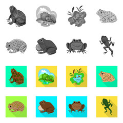 Vector illustration of wildlife and bog sign. Set of wildlife and reptile stock symbol for web.